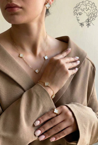 ست استیل ونکلیف گلدوایت